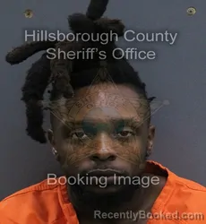 Mugshot of Everett Lamar J Hudson booked in Hillsborough County, Florida on September 11, 2026