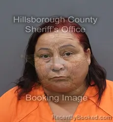 Mugshot of Carmen Denisse Reyes booked in Hillsborough County, Florida on September 11, 2026