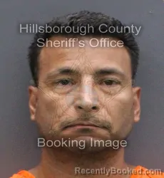 Mugshot of Nelson Bonano Burgos booked in Hillsborough County, Florida on September 12, 2026