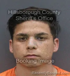 Mugshot of Sandro Alvarez Torres booked in Hillsborough County, Florida on September 12, 2026