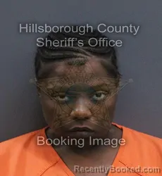 Mugshot of Andrea Ieasha Anita Jackson booked in Hillsborough County, Florida on September 12, 2026