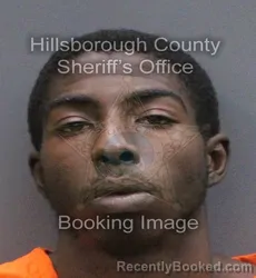 Mugshot of Timothy Isaiah Lee booked in Hillsborough County, Florida on September 12, 2026