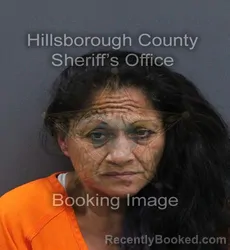 Mugshot of Maria Delrosario Tobias booked in Hillsborough County, Florida on September 12, 2026