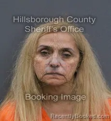 Mugshot of Vera Cristina Fonseca Coelho Dolan booked in Hillsborough County, Florida on September 12, 2026