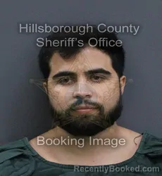 Mugshot of Michael Alexander Valdes booked in Hillsborough County, Florida on September 12, 2026
