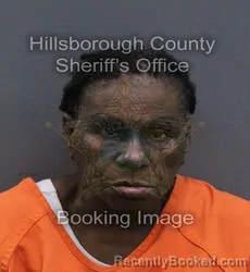 Mugshot of Caroline Young booked in Hillsborough County, Florida on September 12, 2026