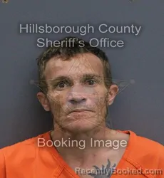 Mugshot of Nathan Garold-Micah Wine booked in Hillsborough County, Florida on September 12, 2026
