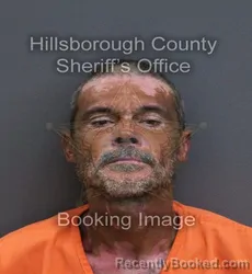 Mugshot of Luke Mark Anthony Debi booked in Hillsborough County, Florida on September 12, 2026