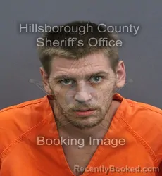 Mugshot of Nicholas D Dicerbo booked in Hillsborough County, Florida on September 12, 2026