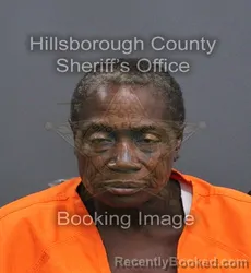 Mugshot of Elenor Michelle Coleman booked in Hillsborough County, Florida on September 12, 2026