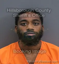 Mugshot of Keilos Ferdinand booked in Hillsborough County, Florida on September 12, 2026