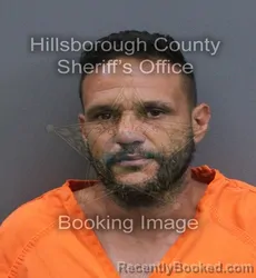 Mugshot of Thomas Fausto Alvarez booked in Hillsborough County, Florida on September 12, 2026