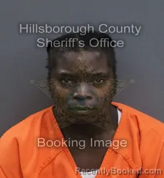 Mugshot of Marquita Leshawn Little booked in Hillsborough County, Florida on September 12, 2026