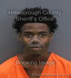 Mugshot of Lynn Lewis Potts booked in Hillsborough County, Florida on September 12, 2026