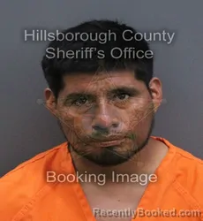 Mugshot of Inocencio Santos Castro booked in Hillsborough County, Florida on September 12, 2026