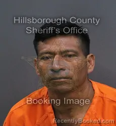 Mugshot of David Lopez Hernandez booked in Hillsborough County, Florida on September 12, 2026