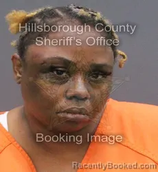 Mugshot of Brittany Leann Evans booked in Hillsborough County, Florida on September 12, 2026
