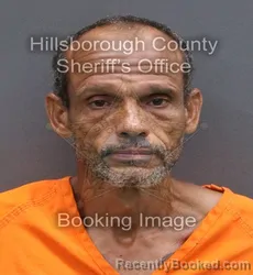 Mugshot of Leland Eugene Murray booked in Hillsborough County, Florida on September 12, 2026