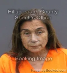 Mugshot of Yamile Ivonne Ocana booked in Hillsborough County, Florida on September 12, 2026
