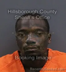 Mugshot of Charles Anthony White booked in Hillsborough County, Florida on September 12, 2026