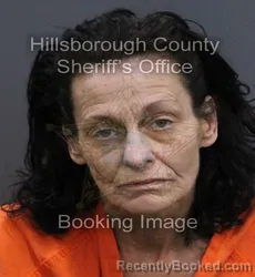 Mugshot of Katherine Joanne Wilson booked in Hillsborough County, Florida on September 13, 2026