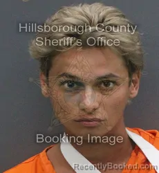 Mugshot of Astronomy Star booked in Hillsborough County, Florida on September 13, 2026