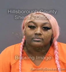 Mugshot of Anijah Jabria Lee booked in Hillsborough County, Florida on September 13, 2026