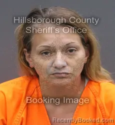 Mugshot of Tabitha Lynne Franklin booked in Hillsborough County, Florida on September 13, 2026