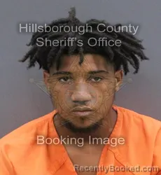 Mugshot of Ceddrick Delaughter booked in Hillsborough County, Florida on September 13, 2026