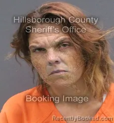Mugshot of Cynthia Ann Bradley booked in Hillsborough County, Florida on September 13, 2026