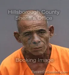 Mugshot of Eliu Cintao Lopez booked in Hillsborough County, Florida on September 13, 2026