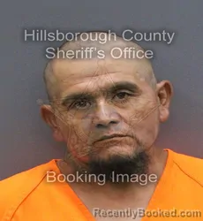 Mugshot of Jose Dolores Jr Noriega booked in Hillsborough County, Florida on September 13, 2026