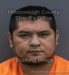 Mugshot of Rolando Israel Ramirez Perez booked in Hillsborough County, Florida on September 13, 2026