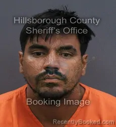 Mugshot of Carlos Jose Villarroel Salazar booked in Hillsborough County, Florida on September 13, 2026