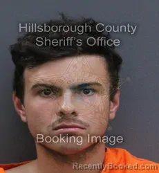 Mugshot of Chandler Francis Perfetto booked in Hillsborough County, Florida on September 13, 2026