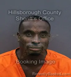 Mugshot of Ryan Cemone Griffin booked in Hillsborough County, Florida on September 13, 2026