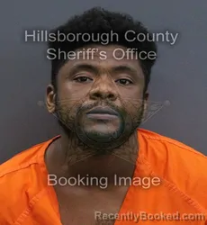 Mugshot of James Allen Jr Kemp booked in Hillsborough County, Florida on September 13, 2026