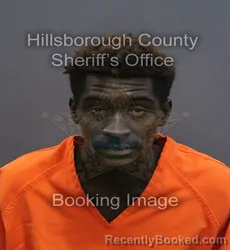Mugshot of Daniel Isaac Jr Thompson booked in Hillsborough County, Florida on September 13, 2026