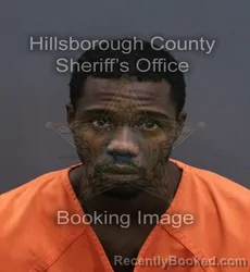 Mugshot of Ja Tavious Tahji Williams booked in Hillsborough County, Florida on September 13, 2026
