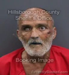 Mugshot of Thomas Kelly Bolduc booked in Hillsborough County, Florida on September 13, 2026