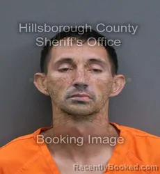 Mugshot of Nathan Daniel Beluin booked in Hillsborough County, Florida on September 13, 2026