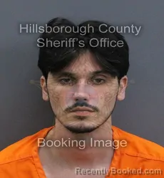 Mugshot of Ryan Alan Lear booked in Hillsborough County, Florida on September 13, 2026