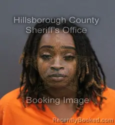 Mugshot of Shannon Nicole Smith booked in Hillsborough County, Florida on September 13, 2026