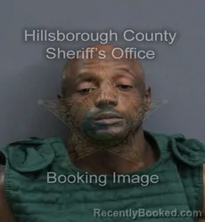 Mugshot of Jermaine Dontrel Everette booked in Hillsborough County, Florida on September 13, 2026