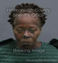 Mugshot of Tanya Rose Marie Walker booked in Hillsborough County, Florida on September 13, 2026