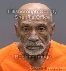 Mugshot of Bruce Mallory booked in Hillsborough County, Florida on September 13, 2026