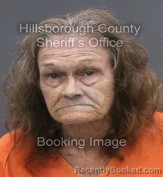Mugshot of Diana Cathreen Boyle booked in Hillsborough County, Florida on September 13, 2026