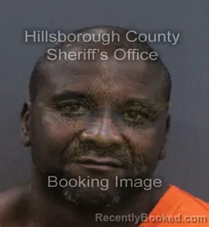 Mugshot of William Henry Stewart booked in Hillsborough County, Florida on September 14, 2026