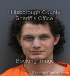 Mugshot of George Henry Iv Mckelvin booked in Hillsborough County, Florida on September 14, 2026