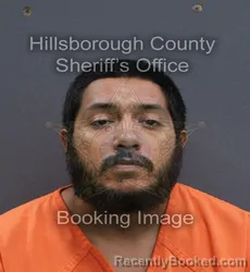 Mugshot of Angel Martinez booked in Hillsborough County, Florida on September 14, 2026